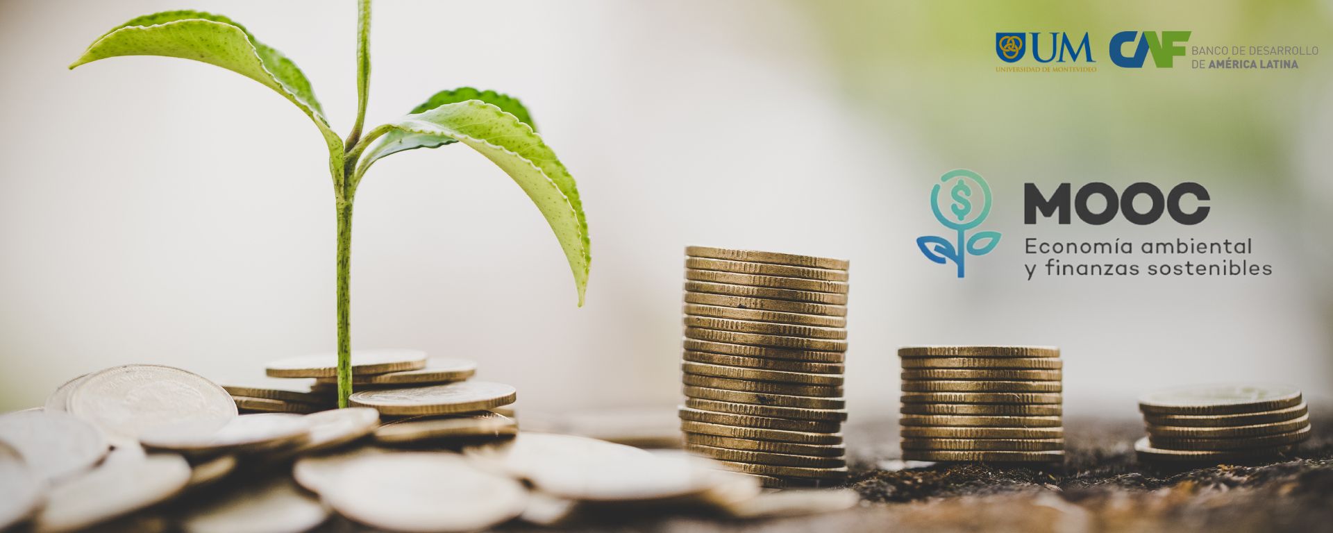 Nuevo curso de Economía Ambiental y Finanzas Sostenibles Nuevo curso de Economía Ambiental y Finanzas Sostenibles