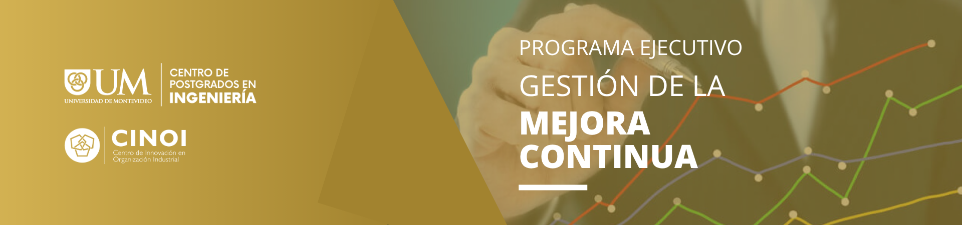 Programa Ejecutivo en Gestión de la Mejora Continua