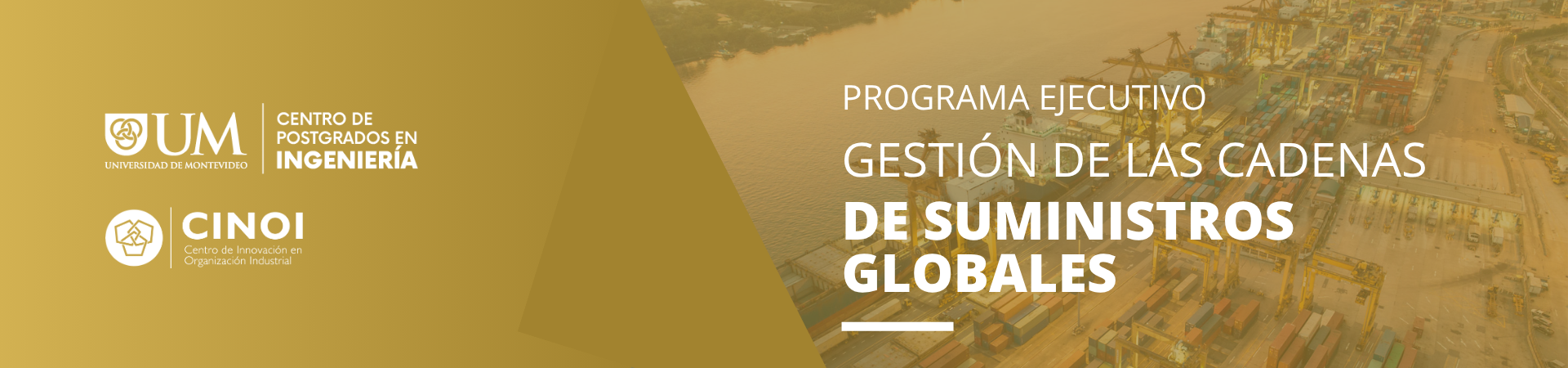 Programa Ejecutivo en Gestión de Cadenas de Suministro Globales