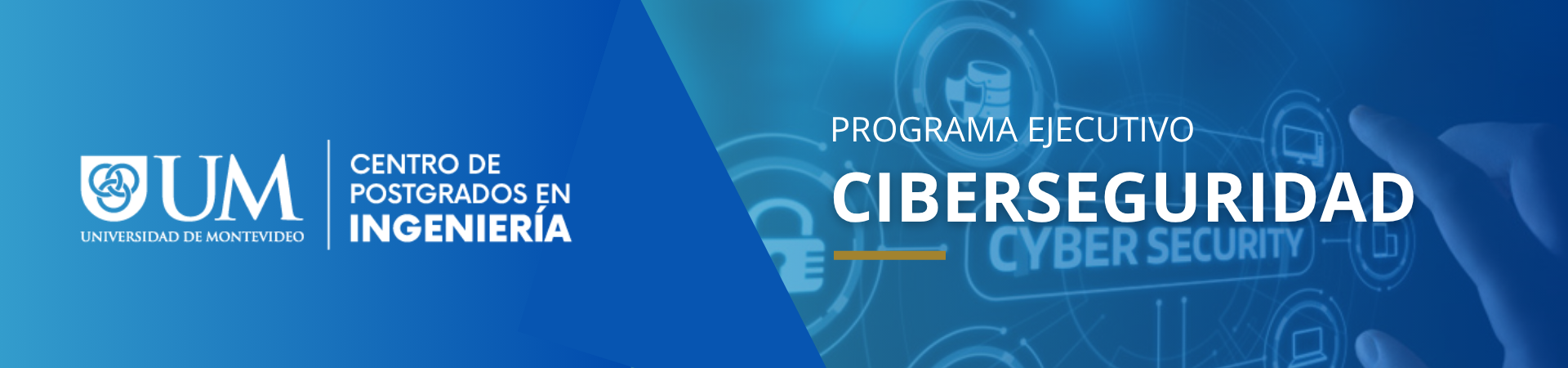 Programa Ejecutivo en Ciberseguridad
