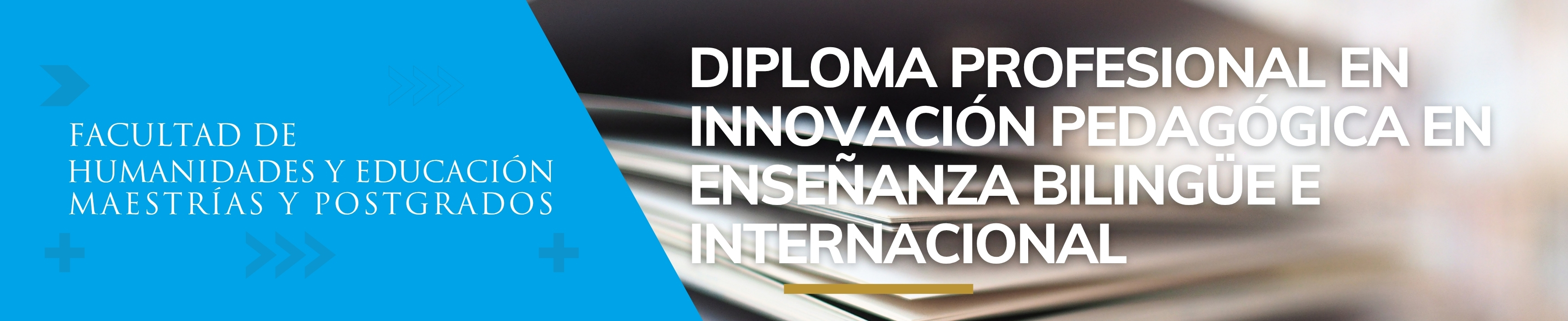 Diploma Profesional en Innovación Pedagógica en Enseñanza Bilingüe e Internacional