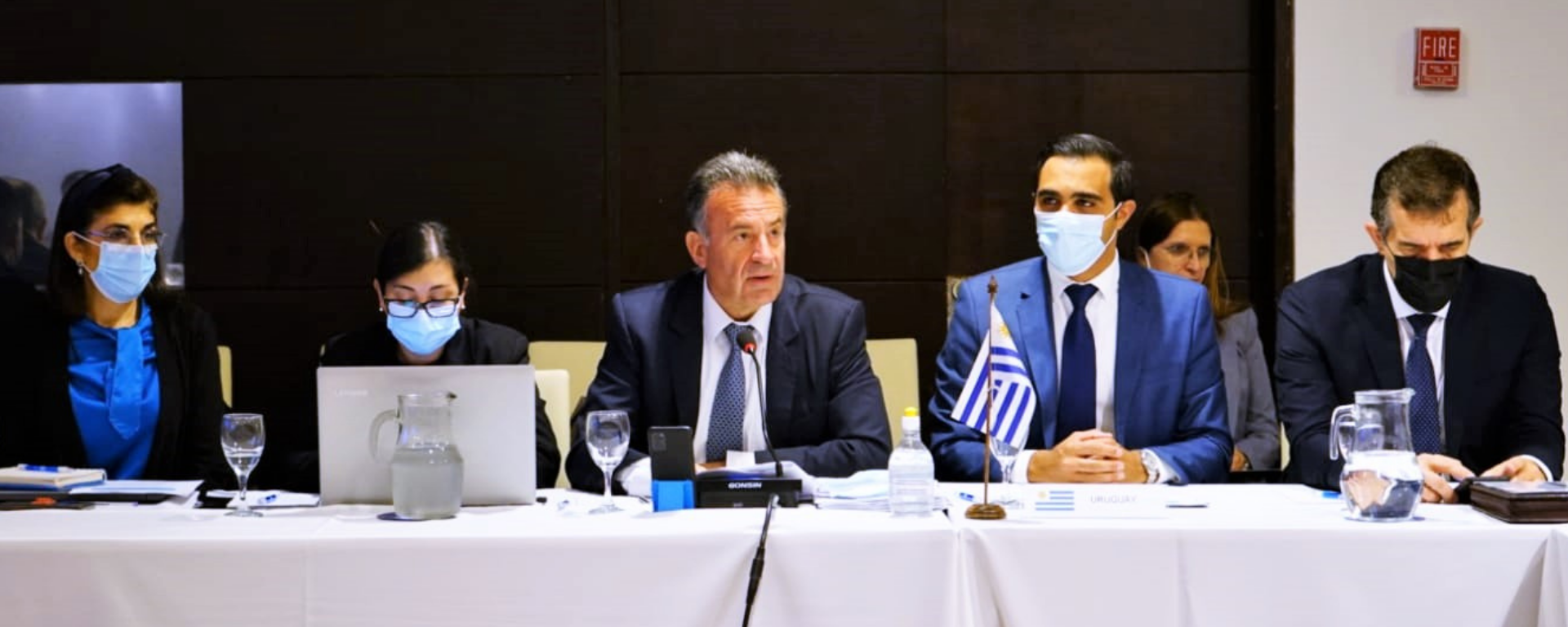 IV Reunión Extraordinaria de Ministros de Salud del Mercosur