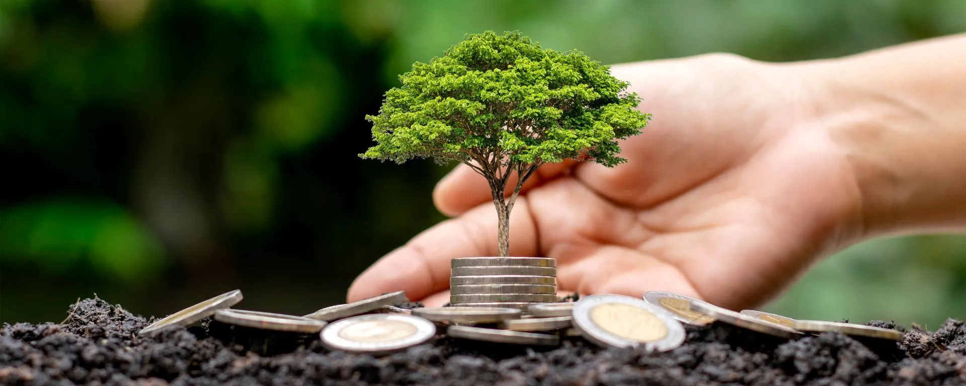 Se realizaron las VII Jornadas de Finanzas