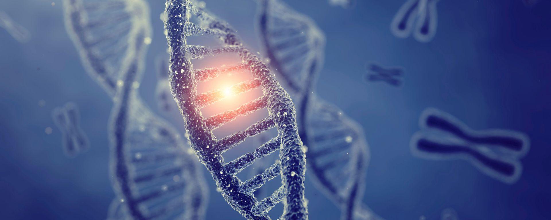 Jornada ¿Qué nos hace únicos? Jornada ¿Qué nos hace únicos?