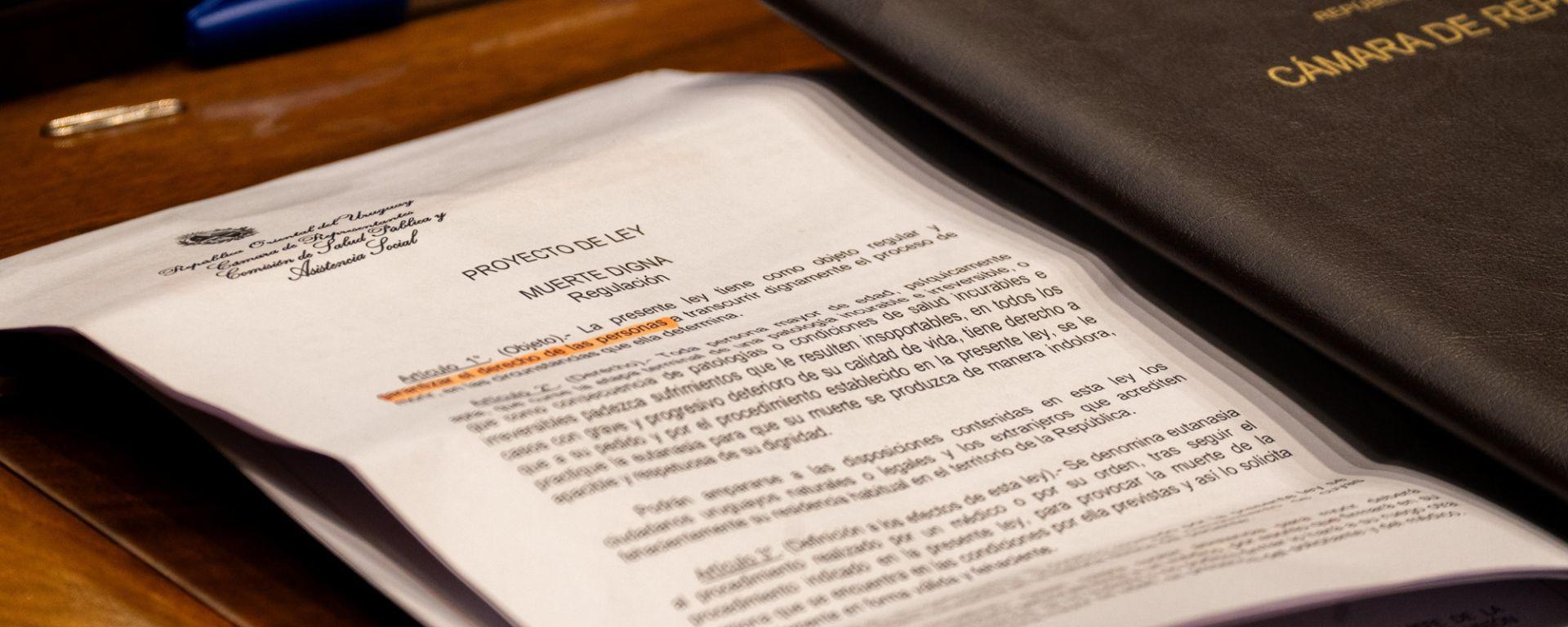 Fotografía obtenida del Archivo Fotográfico del Parlamento (2025)